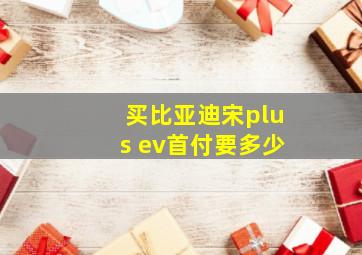 买比亚迪宋plus ev首付要多少